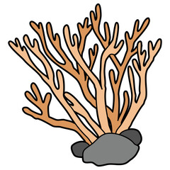 Fototapeta premium sea plants 