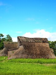 ＜登呂遺跡＞竪穴式住居と高床式倉庫