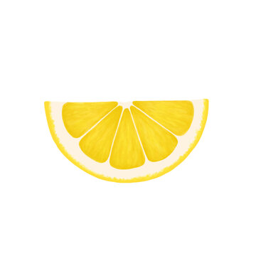 Lemon slice. Realistic illustration isolated on white background. Lemon icon clip art.