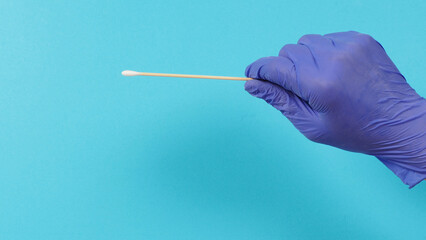 Cotton stick for swab test in hand with violet medical gloves or latex glove on blue background.