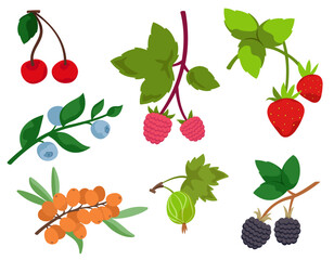 Set of different berry twigs. Natural food in cartoon style.