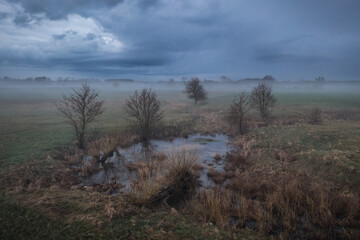 Obraz na płótnie Canvas Foggy landscape with pond and trees on a meadow in Mazowsze region, Poland