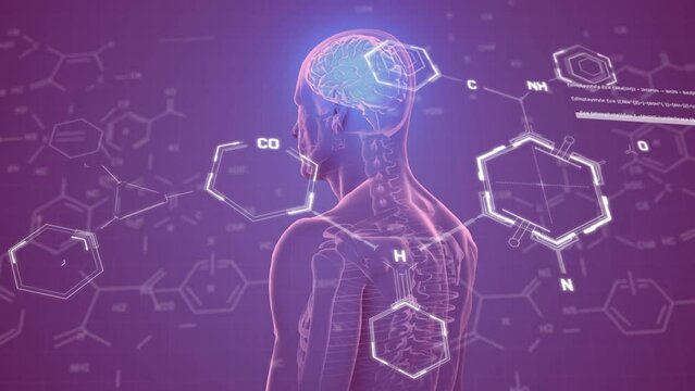 Animation of chemical structures over spinning human body model with a brain on purple background