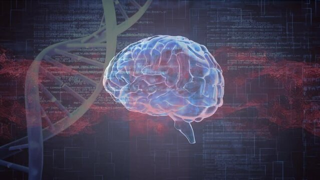 Animation of dna and brain over data on navy background
