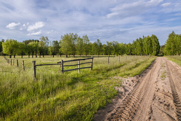 Fototapeta na wymiar Meadow with wooden gateway in Wegrow County, Mazowsze region, Poland