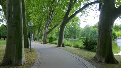 Platanenalle im Schlossgarten in Stuttgart