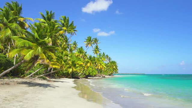Seashore with palm trees. Tropical island in the ocean. Turquoise sea on white sand. Travel to tropical paradise.