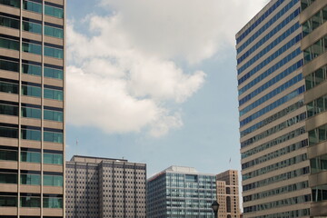 Fototapeta premium Skyline of Modern Skyscrapers with Many Windows Against Blue Summer Sky