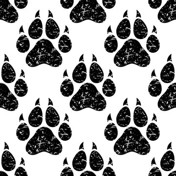 seamless pattern with grunge black cat trace. animal ornament. White scratched background with kitty paw footprint, footstep.