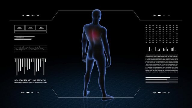 Man with back pathology. 3d body of boy. Rotating animation and closeup of male human structure.