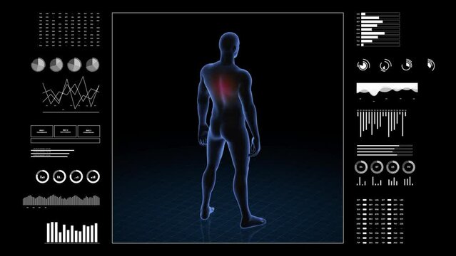 Man with back pathology. 3d body of boy. Rotating animation and closeup of male human structure.