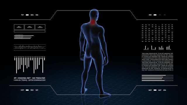 Man with cervical pathology. 3d body of boy. Rotating animation and closeup of male human structure.