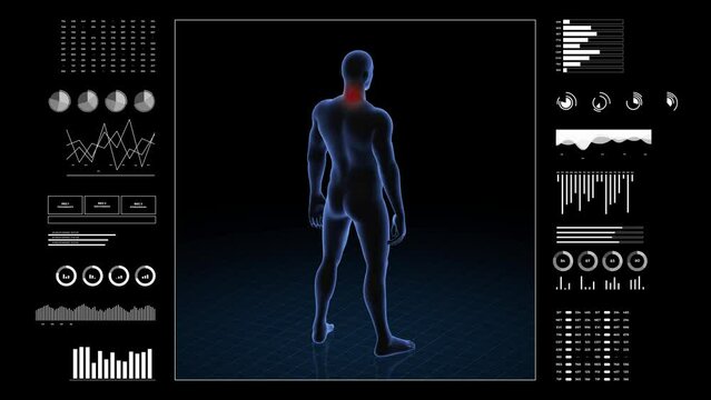 Man with cervical pathology. 3d body of boy. Rotating animation and closeup of male human structure.