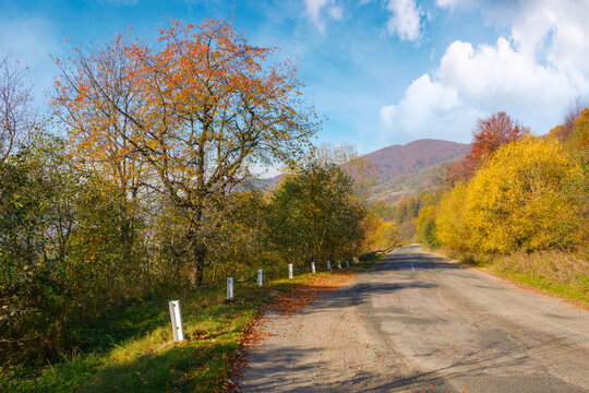 countryside road in autumn. mountainous scenery on a warm sunny day. forest along the way in colorful foliage. explore rural outskirts of transcarpathia