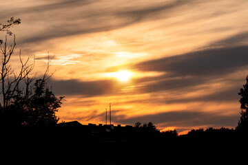 Obraz premium Stunning warm orange color sky and silhouette of a forest. Beautiful nature scene. Sun flare and glow.