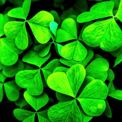Fototapeta na wymiar Background with green clover leaves for Saint Patrick's day. Shamrock.