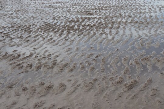 Sandy Beach With Ripple Marks At Low Tide