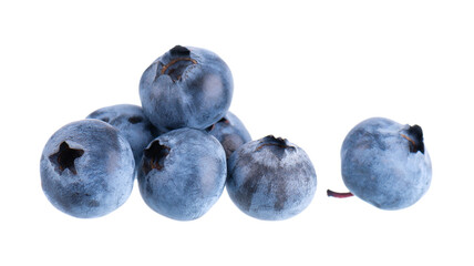 Fresh blueberry isolated on white background. Bilberry or whortleberry. Clipping path.