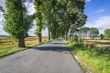 Fototapeta na wymiar Road in Gryfino County, West Pomerania region of Poland