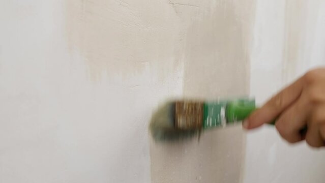 wall preparation for painting, cleaning and priming walls from dust. High quality FullHD footage