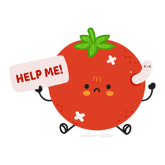 Cute sad sick tomato asks for help character. Vector hand drawn cartoon kawaii character illustration icon. Isolated on white background. Suffering unhealthy yellow tomato character concept