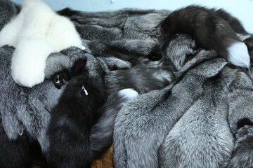 Finished skins from animals. Mink, arctic fox skins from animals. Mink farm. Fur coat, dear.