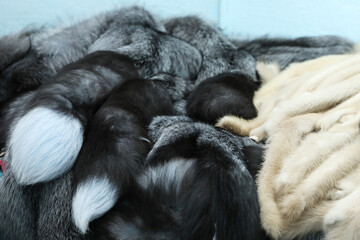 Finished skins from animals. Mink, arctic fox skins from animals. Mink farm. Fur coat, dear.