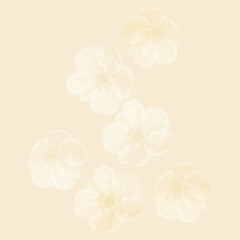 Fototapeta na wymiar Tender blossoms flower background vector. Exquisite flowers pattern. Delicate flowers 