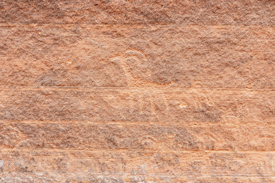 Goat petroglyphs on stone surface
