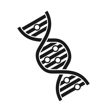 symbole adn