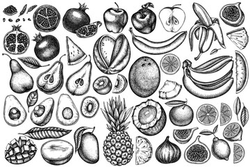 Fruits vintage vector illustrations collection. Black and white bananas, pears, kiwi etc.
