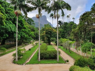 Botanical Gardens of Rio de Janeiro, Brazil