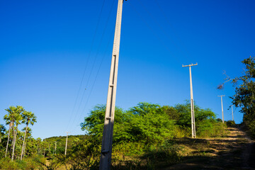 power lines in a caatinga forest in assu, state of rio grande do norte, brazil
