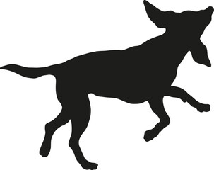 Black dog silhouette. Running and jumping russian hound. Pet animals. Isolated on a white background. Vector illustration.