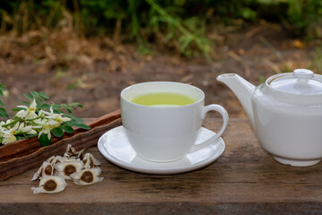 Moringa Tea in white cup and fresh green leaf, flower, pod and seeds with teapot on wooden, blur background.  Moringa oleifera tropical herb healthy lifestyle concept.