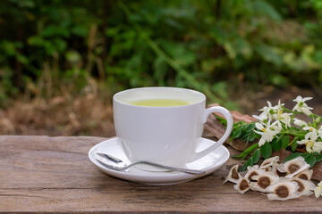 Moringa Tea in white cup and fresh green leaf, flower, pod and seeds on wooden, blur background.  Moringa oleifera tropical herb healthy lifestyle concept.