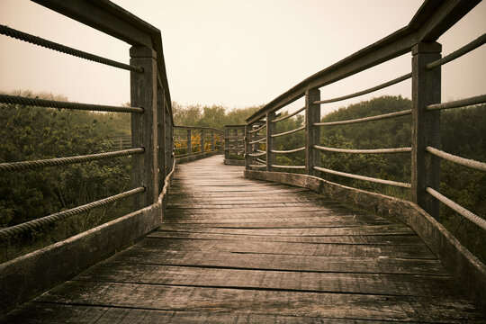Juist Otto-Leege-Pfad Landschaft
Juist Otto Leege Path Landscape