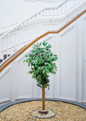 Tree in shopping centre