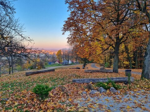autumn in the park in the city of Kielce in Poland