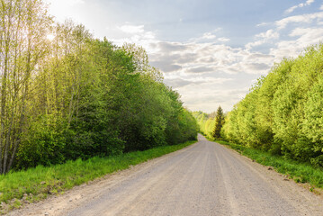 Fototapeta na wymiar Empty Sandy country road near the forest,fluffy clouds blue sky,summer evening landscape.