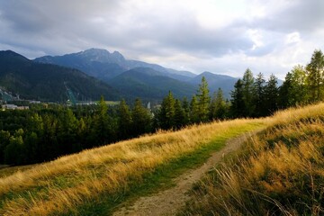Fototapeta premium Viewpoint named Antalowka or Bachledzki Wierch - place in Zakopane with view of Tatras Mountains. Poland