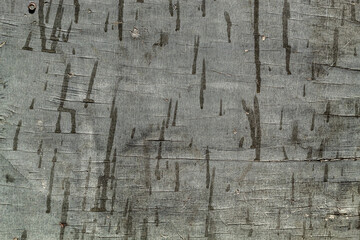 Old Weathered Grayish Wood Texture Useful For Backgrounds and Overlays