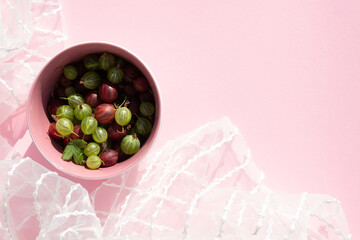 Colorful ripe gooseberry berries in a pink bowl on a pink background