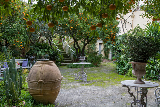 giardino