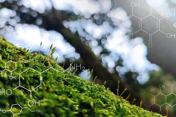 chemical structure with moss and grass background at the forest
