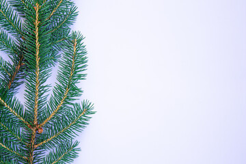 Obraz premium Christmas background with space for text. Spruce twigs on white background.