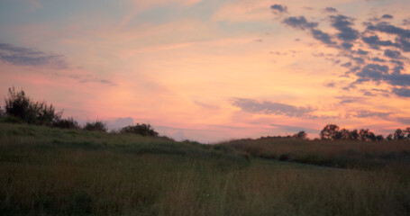 Fototapeta na wymiar Beautiful sunset field meadow at pink sky. Gold grass grow on landscape nature.