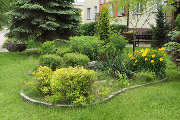 Obraz premium Beautiful flowerbed with different plants on city street. Gardening and landscaping