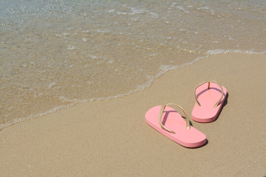 Stylish pink flip flops on wet sand near sea, space for text