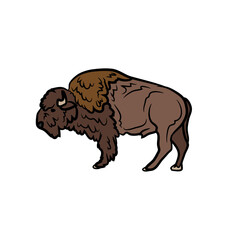 Bufallo Design Very Cool